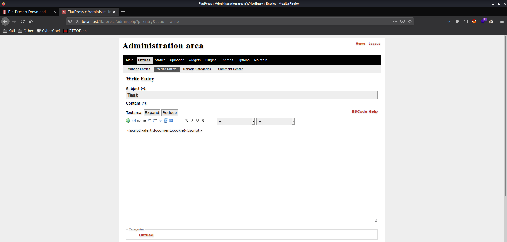XSS Payload